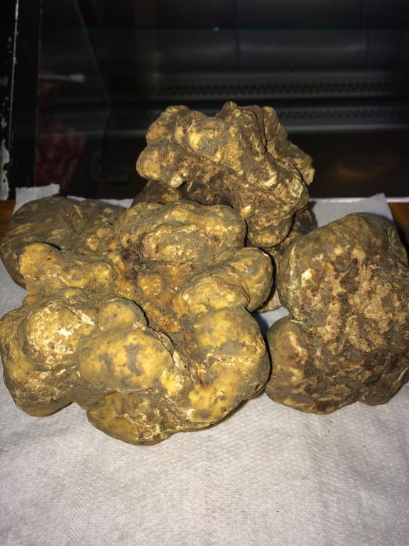 Locanda Dal Sor Francesco 维特拉 外观 照片